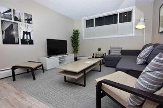 Photo 7: A4 9503 88 Avenue: Peace River Apartment for sale : MLS®# A2120877