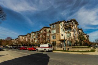 Photo 18: 203 2343 ATKINS Avenue in Port Coquitlam: Central Pt Coquitlam Condo for sale in "The Pearl" : MLS®# R2247249