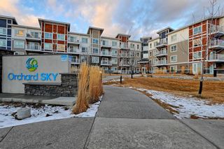 Photo 2: 2402 302 Skyview Ranch Drive NE in Calgary: Skyview Ranch Apartment for sale : MLS®# A1183740