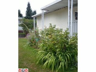 Photo 7: 24 7790 KING GEORGE Boulevard in Surrey: East Newton Manufactured Home for sale in "Crispen Bays" : MLS®# F1019367