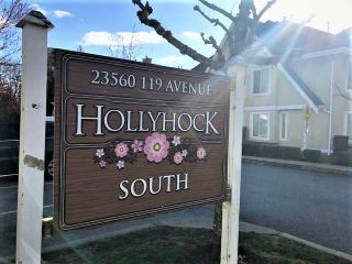 Photo 2: 43 23560 119 Avenue in Maple Ridge: Cottonwood MR Townhouse for sale in "HOLLYHOCK SOUTH" : MLS®# R2556792