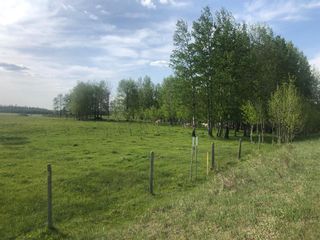 Photo 14: 432018 Range Road 51: Rural Ponoka County Agriculture for sale : MLS®# A1193536
