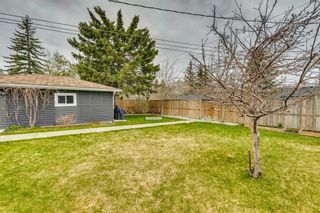 Photo 41: 4812 Worcester Drive SW in Calgary: Wildwood Detached for sale : MLS®# A2126766