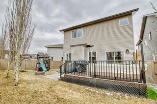Photo 35: 51 Panatella Bay in Calgary: Panorama Hills Detached for sale : MLS®# A2042414