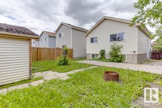 Photo 39: 4134 38 Street in Edmonton: Zone 29 House for sale : MLS®# E4301290