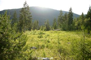 Photo 26: 190 SW Christison Road in Salmon Arm: Gleneden Vacant Land for sale : MLS®# 10118444