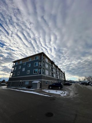 Photo 2: 215 118 Millennium Drive: Fort McMurray Apartment for sale : MLS®# A2096541