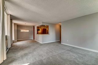 Photo 15: 5D 133 25 Avenue SW in Calgary: Mission Apartment for sale : MLS®# A2068257