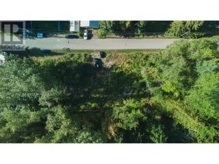 Photo 5: 130 Maple Street in Revelstoke: Vacant Land for sale : MLS®# 10262697