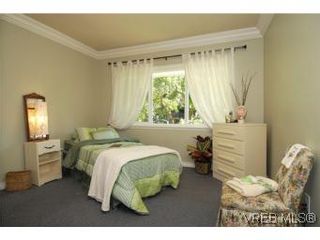 Photo 11: 4545 Duart Rd in VICTORIA: SE Gordon Head House for sale (Saanich East)  : MLS®# 515138