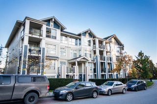 Photo 1: 204 275 Ross Drive in : Fraserview NW Condo for sale (New Westminster) 