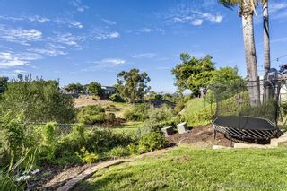 Photo 23: POINT LOMA House for sale : 2 bedrooms : 3420 Wisteria Dr in San Diego