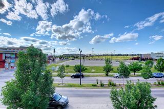 Photo 27: 341 69 Springborough Court SW in Calgary: Springbank Hill Apartment for sale : MLS®# A1243792