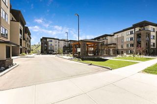 Photo 26: 2404 80 Greenbriar Place NW in Calgary: Greenwood/Greenbriar Apartment for sale : MLS®# A2138700