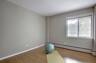 Photo 20: 78D 231 HERITAGE Drive SE in Calgary: Acadia Apartment for sale : MLS®# C4305999