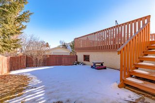 Photo 33: 40 Bearberry Crescent NW in Calgary: Beddington Heights Detached for sale : MLS®# A2023373