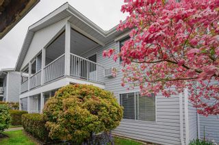 Photo 6: 272 32691 GARIBALDI Drive in Abbotsford: Abbotsford West Townhouse for sale in "CARRIAGE LANE" : MLS®# R2879909