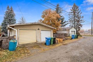 Photo 6: 4211 69 Street NW in Calgary: Bowness Detached for sale : MLS®# A2008497