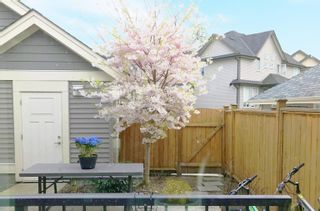 Photo 21: 20998 77A Avenue in Langley: Willoughby Heights Condo for sale : MLS®# R2844373