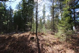 Photo 18: Lot B Zinck Road in Scotch Creek: Land Only for sale : MLS®# 10249220