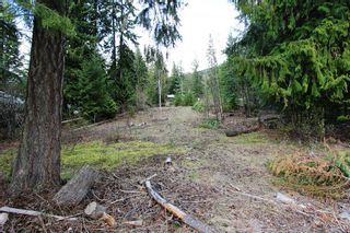 Photo 17: 99 Fraser Crescent: Anglemont Land Only for sale (North Shuswap)  : MLS®# 10097577