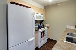 Photo 9: 306 3000 Citadel Meadow Point NW in Calgary: Citadel Apartment for sale : MLS®# A1244285