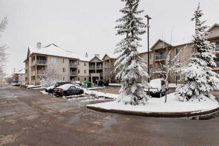 Photo 28: 104 4000 Citadel Meadow Point NW in Calgary: Citadel Apartment for sale : MLS®# A2128486