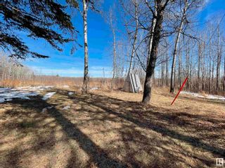 Photo 5: 53415 RGE RD 40 A: Rural Parkland County Manufactured Home for sale : MLS®# E4335926