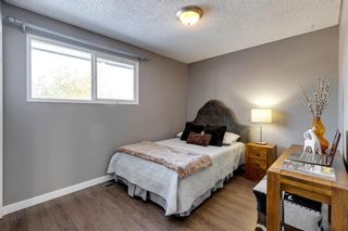 Photo 10: 4408 Maryvale Road NE in Calgary: Marlborough Detached for sale : MLS®# A2010189