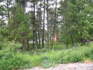 Photo 11: 4981 FALCON DRIVE in Fairmont Hot Springs: Vacant Land for sale : MLS®# 2469200