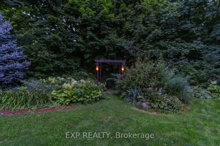 Photo 34: 55 Pine Ridge Drive in Toronto: Cliffcrest House (2-Storey) for sale (Toronto E08)  : MLS®# E8034028