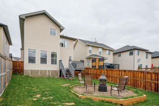 Photo 38: 571 Kincora Drive NW in Calgary: Kincora Detached for sale : MLS®# A1220056