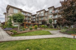 Photo 14: 304 30525 CARDINAL Avenue in Abbotsford: Abbotsford West Condo for sale : MLS®# R2651021