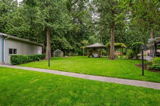 Photo 22: 19777 20 Avenue in Langley: Brookswood Langley House for sale : MLS®# R2800483