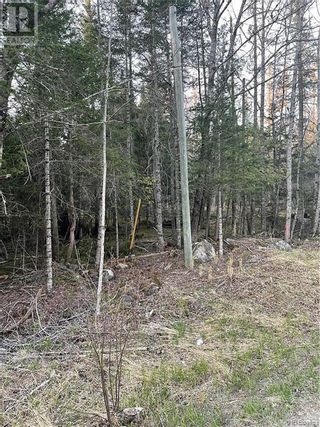 Photo 3: 19 Maxwell Crossing Road in Maxwell: Vacant Land for sale : MLS®# NB086861