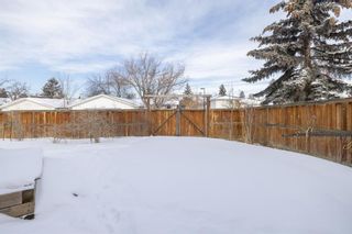 Photo 39: 1927 Pinetree Crescent NE in Calgary: Pineridge Detached for sale : MLS®# A2031559
