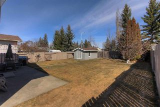 Photo 20: Hillview in Edmonton: Zone 29 House for sale : MLS®# E4151612