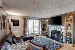 Photo 11: 9 1607 26 Avenue SW in Calgary: South Calgary Apartment for sale : MLS®# A2051928