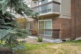 Photo 18: 214 860 Midridge Drive SE in Calgary: Midnapore Apartment for sale : MLS®# A2047108