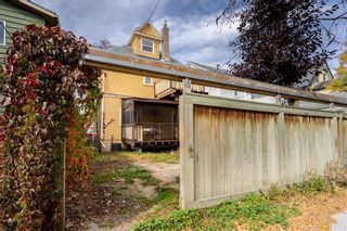 Photo 31: 157 Chestnut Street in Winnipeg: Wolseley House for sale (5B)  : MLS®# 202024846