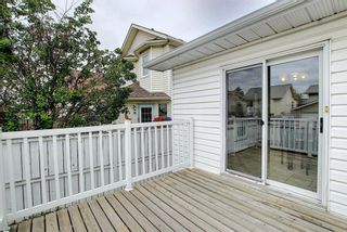 Photo 36: 260 APPLEWOOD Drive SE in Calgary: Applewood Park Detached for sale : MLS®# A1016719
