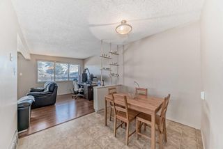 Photo 8: 1709 50 Street SE in Calgary: Forest Lawn Semi Detached (Half Duplex) for sale : MLS®# A2115014