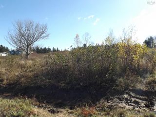Photo 4: 9 Brooks Road in Ashmore: Digby County Vacant Land for sale (Annapolis Valley)  : MLS®# 202225453