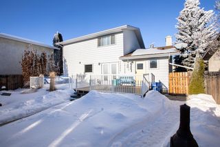 Photo 38: 40 Conners Crescent: Red Deer Detached for sale : MLS®# A2016834