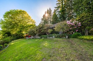 Photo 12: 375 STEVENS Drive in West Vancouver: British Properties House for sale : MLS®# R2883182