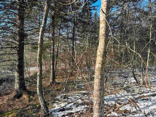 Photo 7: Lot K1 Greenfield Road in Greenfield: Kings County Vacant Land for sale (Annapolis Valley)  : MLS®# 202400528
