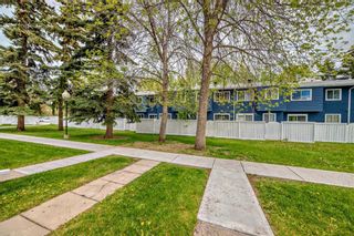 Photo 3: 97 251 90 Avenue SE in Calgary: Acadia Row/Townhouse for sale : MLS®# A2136555