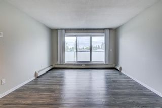 Photo 16: 203 335 Garry Crescent NE in Calgary: Greenview Apartment for sale : MLS®# A1236710