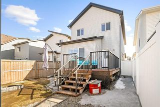 Photo 23: 24 Copperpond Parade SE in Calgary: Copperfield Detached for sale : MLS®# A2121468