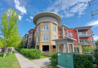 Photo 1: 101 117 19 Avenue NE in Calgary: Tuxedo Park Apartment for sale : MLS®# A2128958